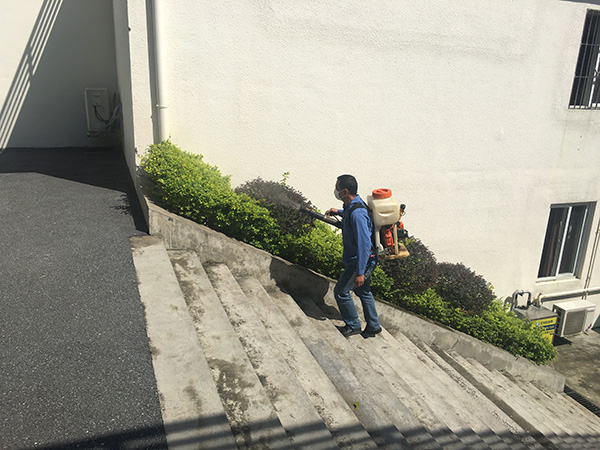 專業四害消殺服務，讓四害遠離您的生活